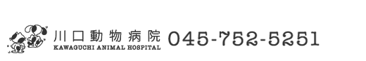 川口動物病院